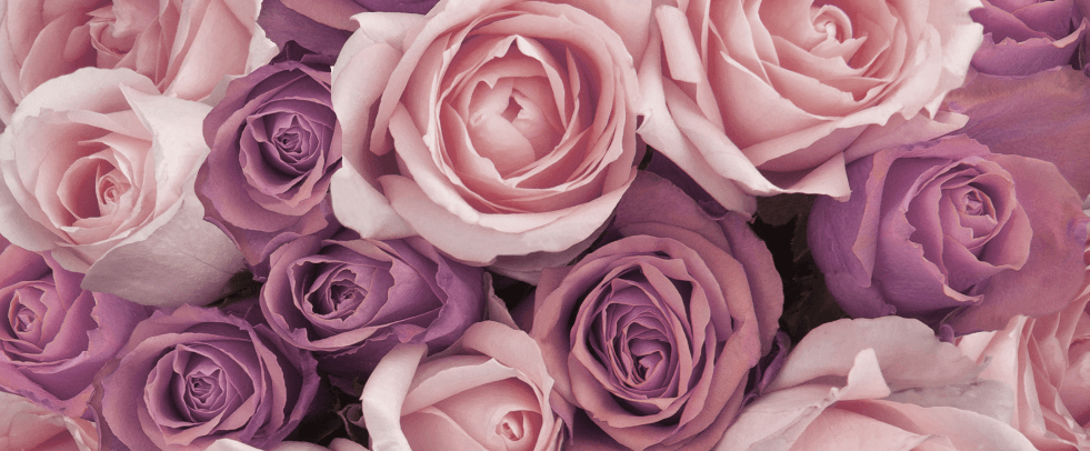 Floral - Scenttherapy