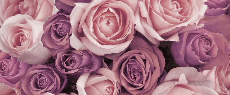 Floral - Scenttherapy