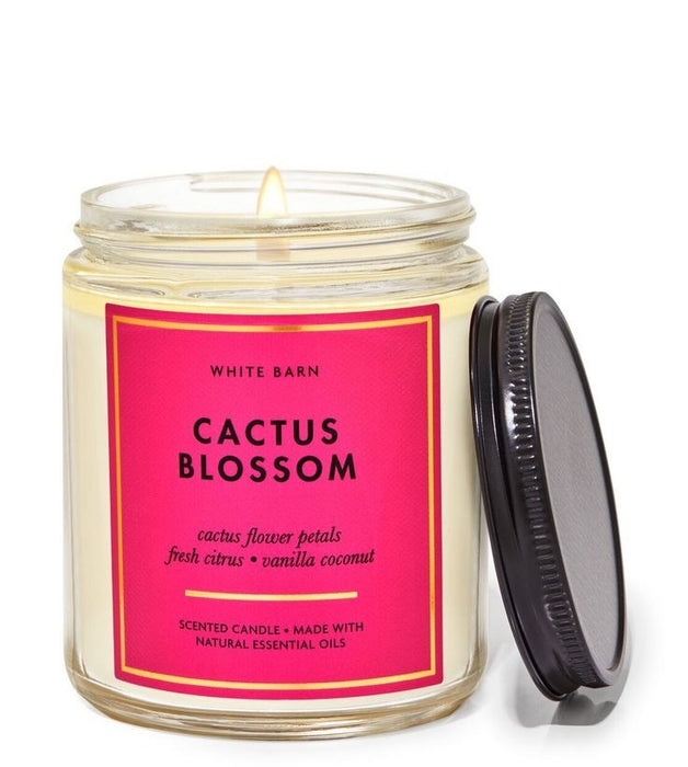 Cactus Blossom Single Wick Candle - (227g)