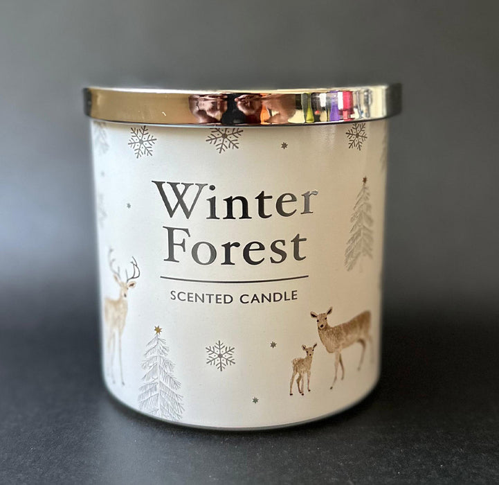 GH Winter Forest 2 Wick Candle - (380g)